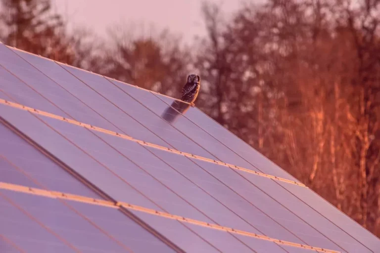 cout du panneau solaire au m2 analyse des prix et des retours sur investissement.webp